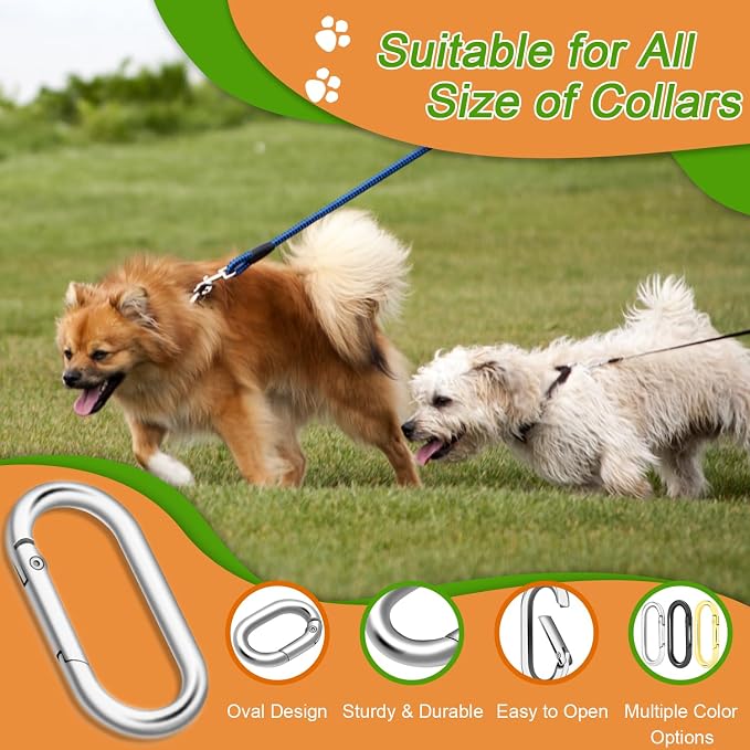 10Pack Oval Large Carabiner Clip, Metal Spring Carabiner Clips - Image 5
