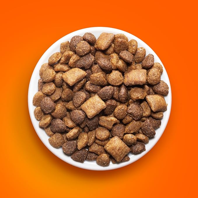 IAMS Healthy Enjoyment Dry Cat Food Chicken & Salmon Recipe, Cat Food Dry Recipe - Image 5