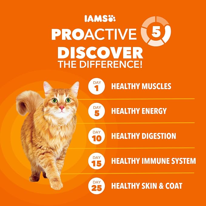 IAMS Proactive Health Dry Cat Food, Healthy Cat Food Dry Recipe - Image 3