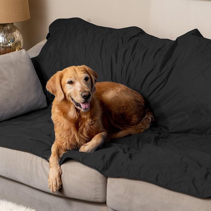 BRAWNTIDE Large Outdoor Waterproof Blanket - Image 7