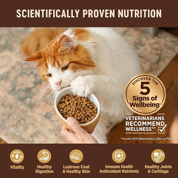 Wellness CORE Adult Dry Cat Food, Grain Free Kibble, Turkey Meal and Duck Recipe - Image 4