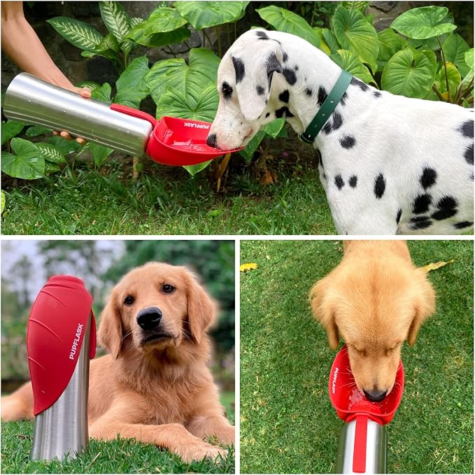 PupFlask Large Dog Water Bottle | 27 or 40 OZ Stainless Steel | Convenient Dog - Image 6