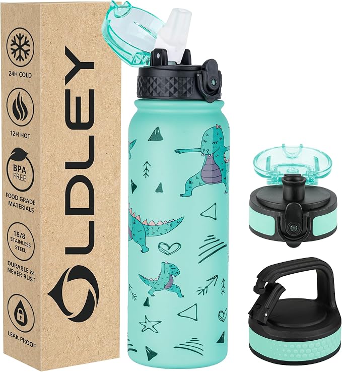 OLDLEY Insulated Water Bottle 20oz Water Bottles by OLDLEY