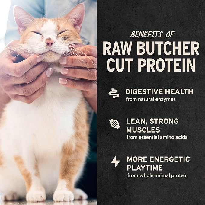 Vital Essentials Freeze Dried Cat Treats | Ahi Tuna Bites, Single Protein | - Image 4