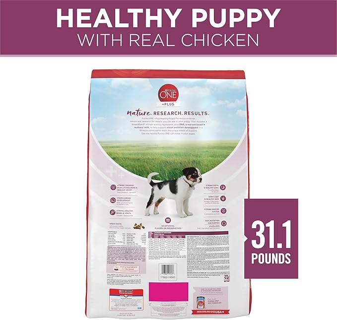 Purina ONE Plus Healthy Puppy Formula High Protein Natural Dry Puppy Food - Image 8