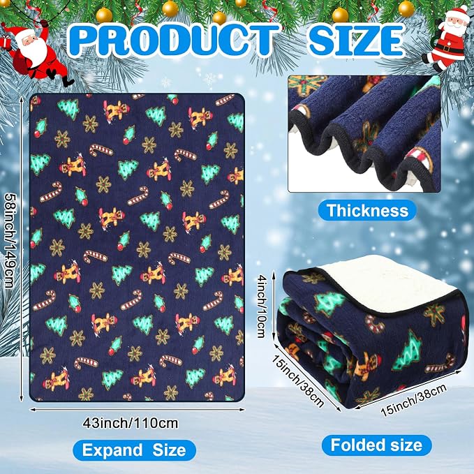 Riakrum 12V Car Heated Blanket for Cold - Image 2