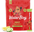 Waterboy Daily Hydration | 1, 570mg Electrolyte Powder Packets | No Sugar by WaterBoy
