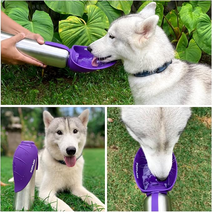 PupFlask Large Dog Water Bottle | 27 or 40 OZ Stainless Steel | Convenient Dog - Image 6