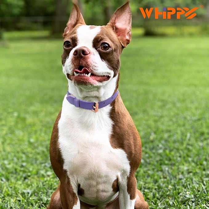 WHIPPY Leather Dog Collar for Small Medium Large Dog Adjustable Soft Breathable - Image 3