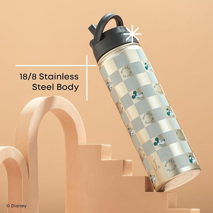 JoyJolt Disney Retro Vintage Stainless Steel Water Bottle ft Mickey & Minnie - Image 6