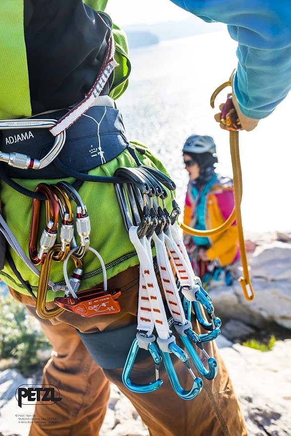 Petzl Sm'D Carabiner - Image 5