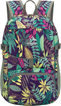 WATERFLY Hiking Packable Daypack Backpack: 25L Ultra Lightweight Day Pack by Waterfly