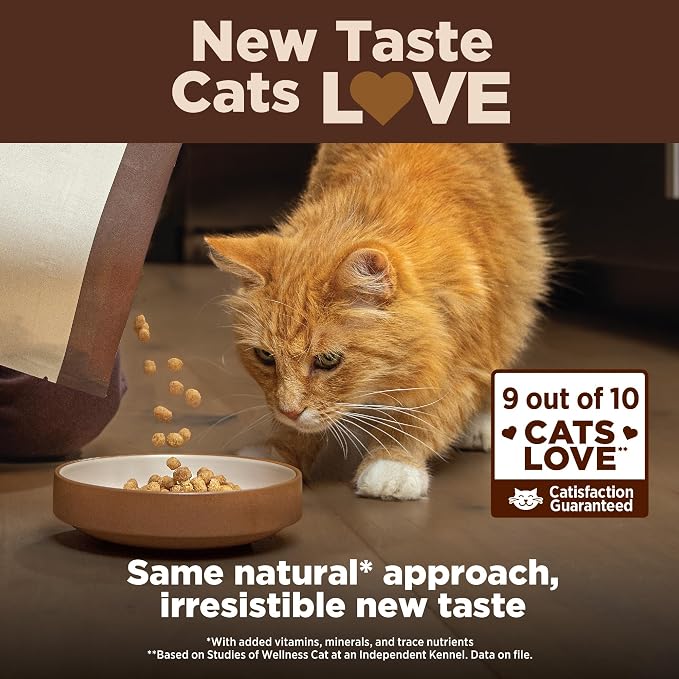 Wellness CORE+ Adult Dry Cat Food - Image 5