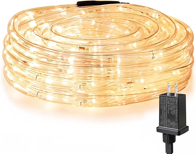 LE 33ft 240 LED Rope Lights Outdoor 24 Volts, 3/8 inch Clear Tube, Upgraded by LightingEVER