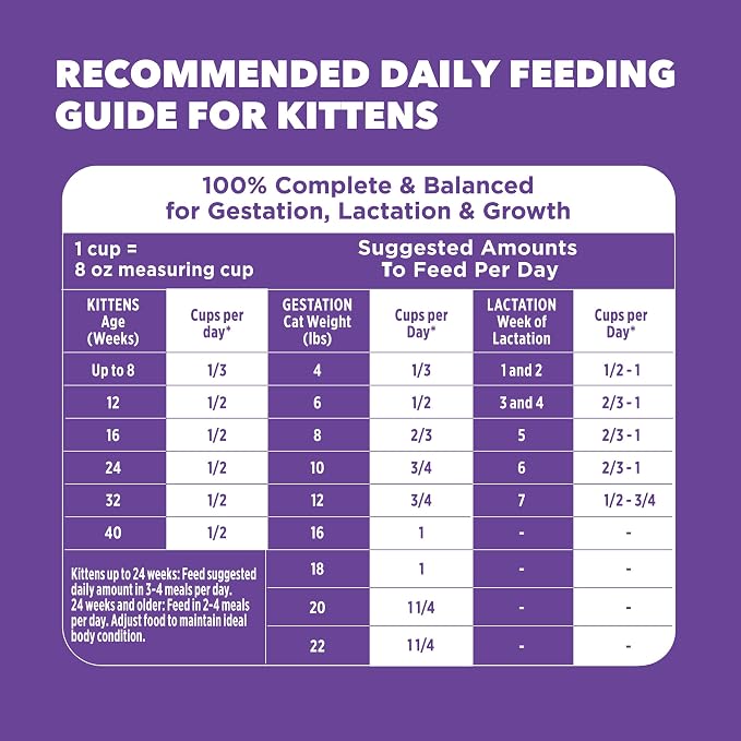 IAMS Proactive Health Kitten Dry Cat Food, Healthy Kitten Food Dry Recipe - Image 9