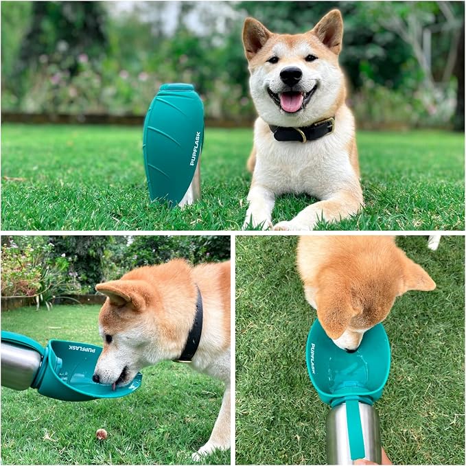 PupFlask Large Dog Water Bottle | 27 or 40 OZ Stainless Steel | Convenient Dog - Image 6