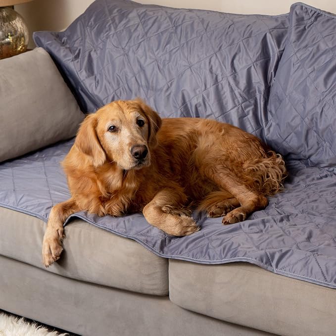 BRAWNTIDE Large Outdoor Waterproof Blanket - Image 7