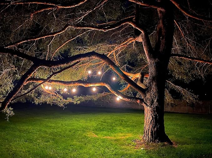 Magictec LED Shatterproof String Lights Commercial Grade - Image 2