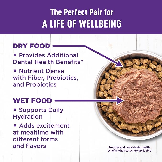 Wellness Complete Health Adult Dry Cat Food, Grain Free Kibble, Chicken Recipe - Image 5