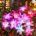 Aukora Solar Garden Lights Outdoor 5 Pack, 5 Colors Lily Flowers & 7-Color by AUKORA