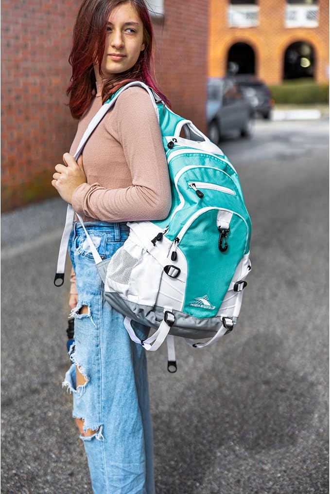 High Sierra Loop Backpack, or Work Bookbag - Image 8