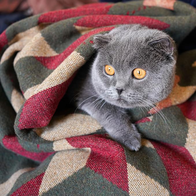 PuTian Merino Wool Camp Blanket - Image 3