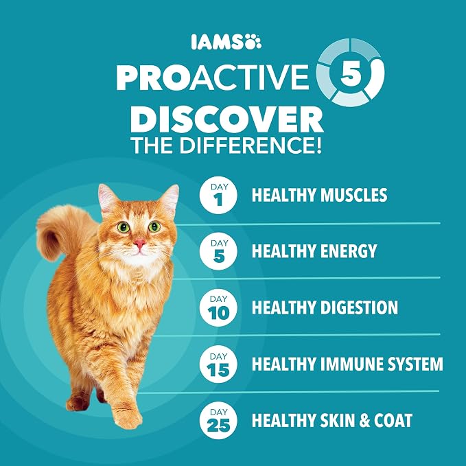 IAMS Proactive Health Dry Cat Food, Indoor Weight and Hairball Care Cat Food - Image 4