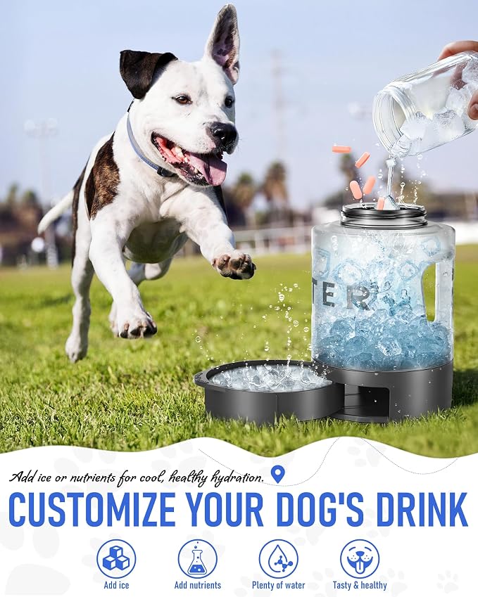Dog Water Bottle Travel Bowl, 77oz Large Portable Dog Water Bowl Dispenser - Image 6