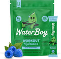 Waterboy Workout Hydration | 2, 960mg Sugar Free Electrolyte Powder Packets | by WaterBoy