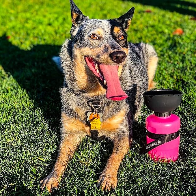 lesotc Dog Water Bottle, Portable Pet Dispenser - Image 8
