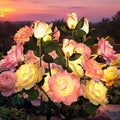 GIGALUMI Solar Lights Outdoor for Garden Decor, 6 Pack Solar Flower Lights by GIGALUMI