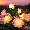 GIGALUMI Solar Lights Outdoor for Garden Decor, 3 Pack Solar Flower Lights by GIGALUMI