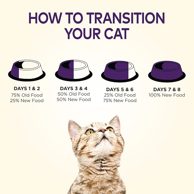 Wellness Complete Health Adult Dry Cat Food - Image 9