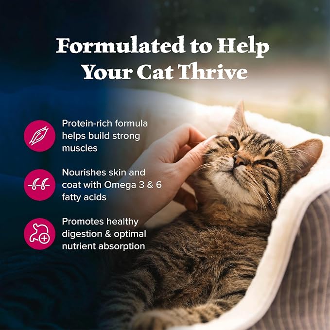 Blue Buffalo Wilderness Natural Adult Dry Cat Food, High-Protein and Grain-Free - Image 4