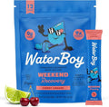 Waterboy Weekend Recovery | 3, 200mg Electrolyte Powder Packets | Ginger + by WaterBoy