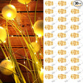 ZSJWL 30 Pack Fairy Lights Battery Operated Warm White, 7Ft 20LED Mini String by ZSJWL