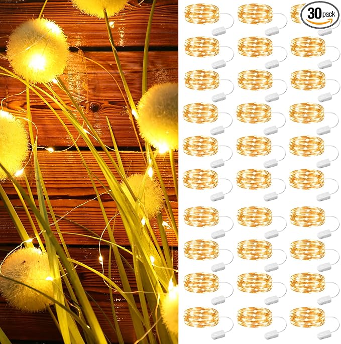 ZSJWL 30 Pack Fairy Lights Battery Operated Warm White, 7Ft 20LED Mini String by ZSJWL