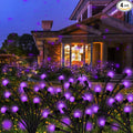 Kohlrabi Solar Garden Lights Outdoor, 4 Pack 32 LED Solar Purple Firefly Lights by KohlrabiDecor