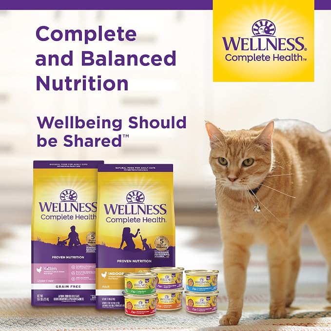 Wellness Complete Health Adult Dry Cat Food - Image 6