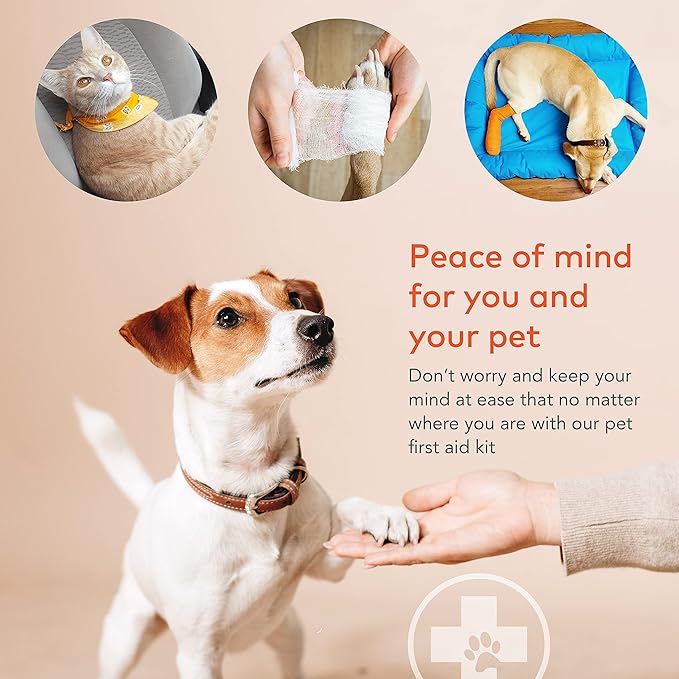 ARCA PET Dog First Aid Kit - Image 4
