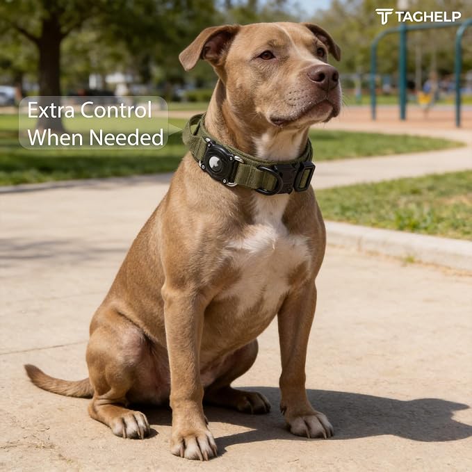 Waterproof AirTag Dog Collar - Image 2