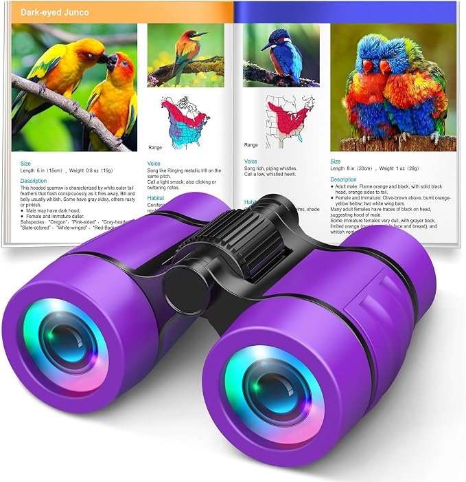 Girls Toys Age 3-7: LET'S GO! Compact Bird Watching Binoculars by LETSGO