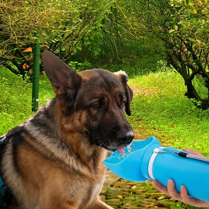 Portable Collapsible Dog Water Bottle - 550ml - Image 5