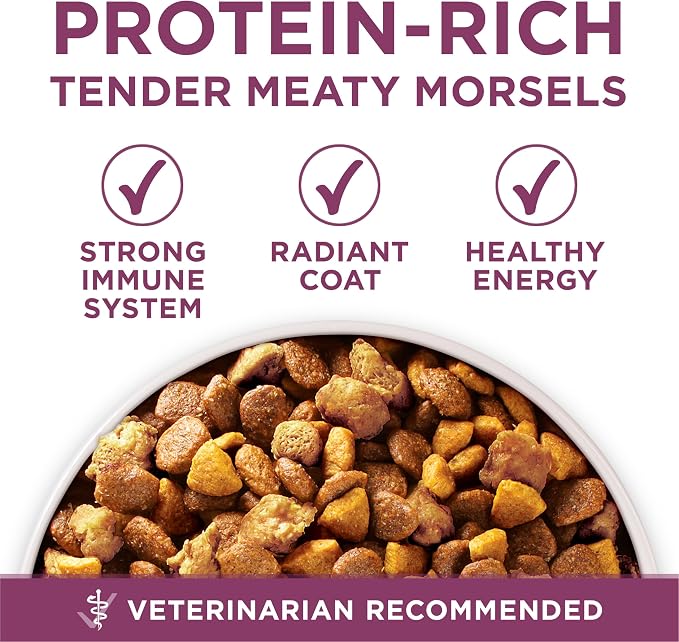 Purina ONE Plus Healthy Puppy Formula High Protein Natural Dry Puppy Food - Image 6