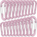 Aluminum Carabiner Clips- Set of 20, Carabiner Clip 2 inch by pulltherfishing
