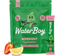 Waterboy Workout Hydration | 2, 960mg Sugar Free Electrolyte Powder Packets | by WaterBoy