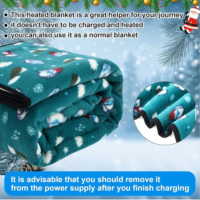 Riakrum 12V Car Heated Blanket for Cold - Image 5