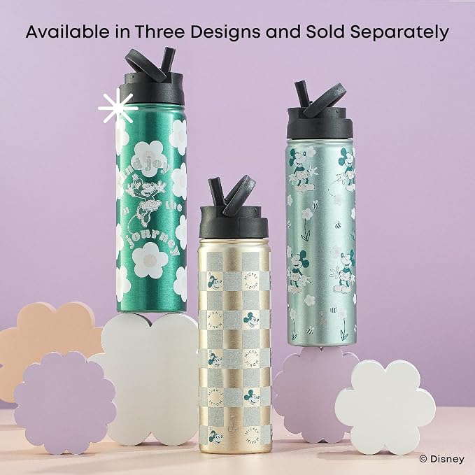 JoyJolt Disney Retro Vintage Stainless Steel Water Bottle ft Mickey & Minnie - Image 5