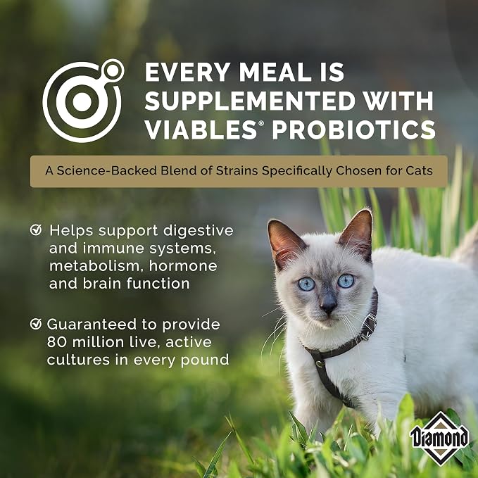 Diamond Maintenance Cat Dry Food 30/15 - Image 6