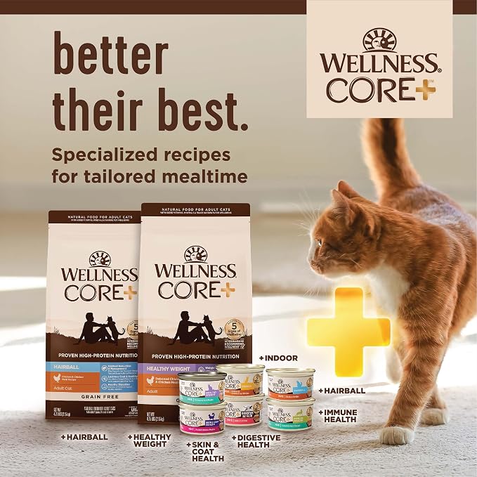 Wellness CORE+ Adult Dry Cat Food - Image 8